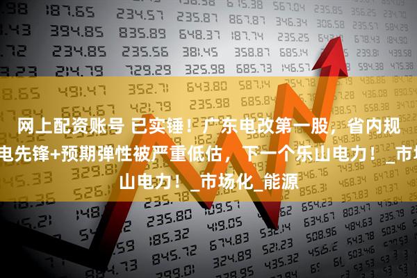 网上配资账号 已实锤！广东电改第一股，省内规模最大发电先锋+预期弹性被严重低估，下一个乐山电力！_市场化_能源