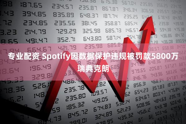 专业配资 Spotify因数据保护违规被罚款5800万瑞典克朗