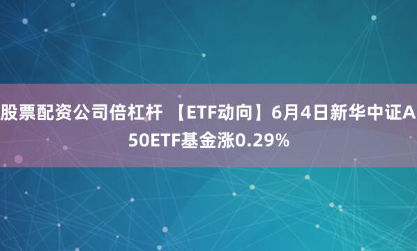 股票配资公司倍杠杆 【ETF动向】6月4日新华中证A50ETF基金涨0.29%