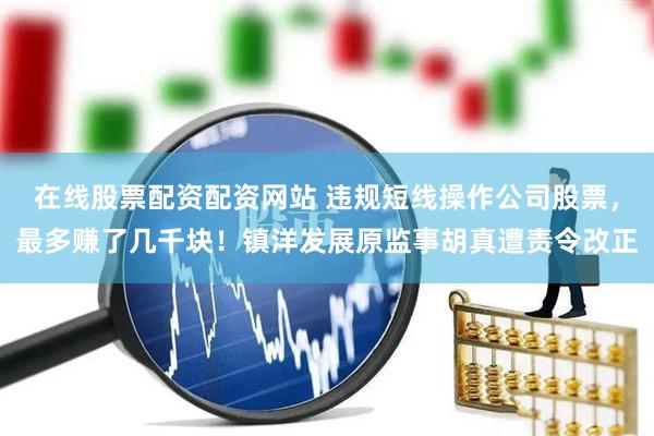 在线股票配资配资网站 违规短线操作公司股票，最多赚了几千块！镇洋发展原监事胡真遭责令改正