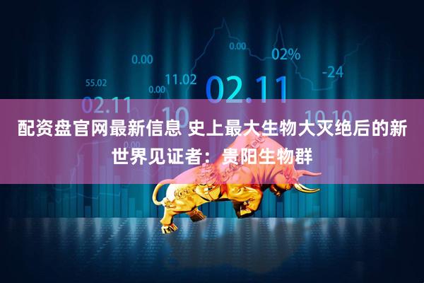 配资盘官网最新信息 史上最大生物大灭绝后的新世界见证者：贵阳生物群