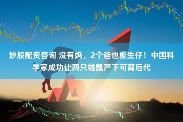 炒股配资咨询 没有妈，2个爸也能生仔！中国科学家成功让两只雄鼠产下可育后代